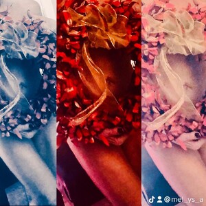 Profile preview